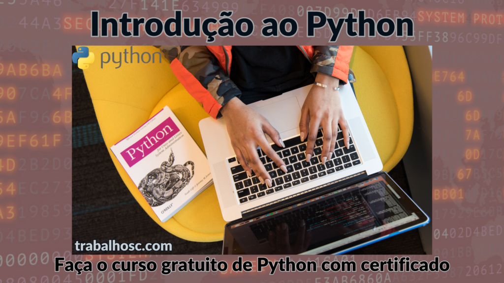 TUDO QUE VOCÊ PRECISA SOBRE O CRESCIMENTO DA NOVA LINGUAGEM DE ...
