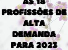 As 18 profissões de alta demanda para 2023-2023-05-09