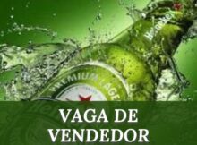 VAGA DE VENDEDOR HEINEKEN COMPANY-2023-08-08